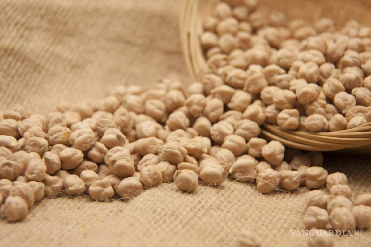 Crean científicos mexicanos bebida de garbanzo que reduce niveles de glucosa y colesterol