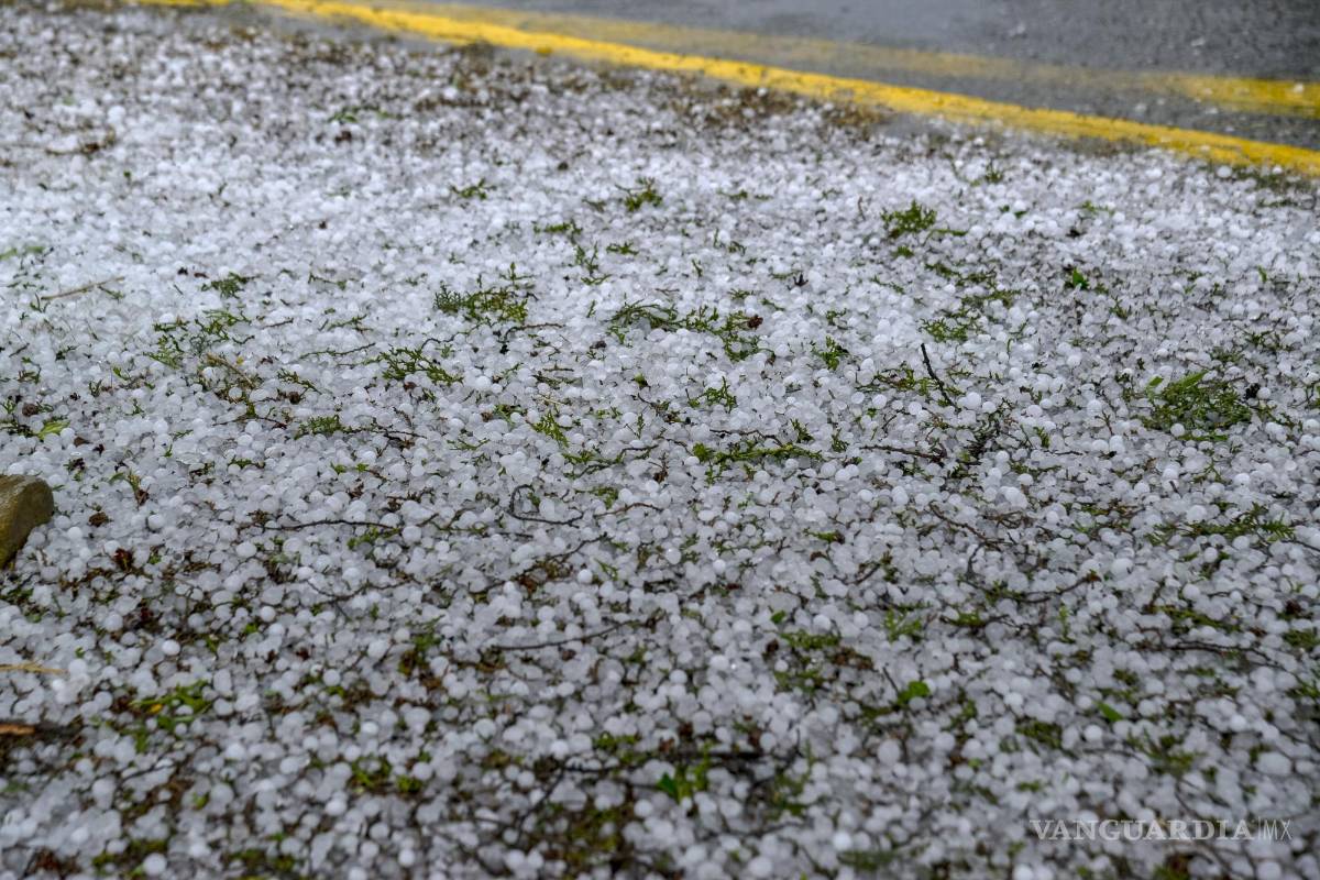 $!En varios puntos de la ciudad se dejó sentir la caída de granizo, sin que se reportaran daños mayores.