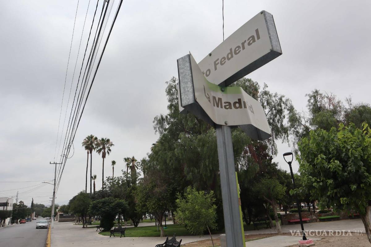 $!En el Municipio de Saltillo se comprometieron a hacer una revisión de los procedimientos de poda y limpia de las áreas públicas.