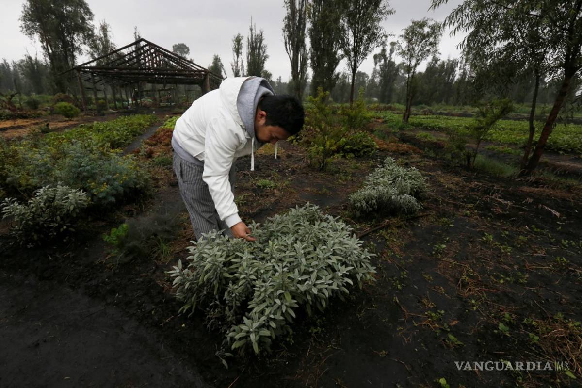 Chinampas unen a cocineros y a granjeros