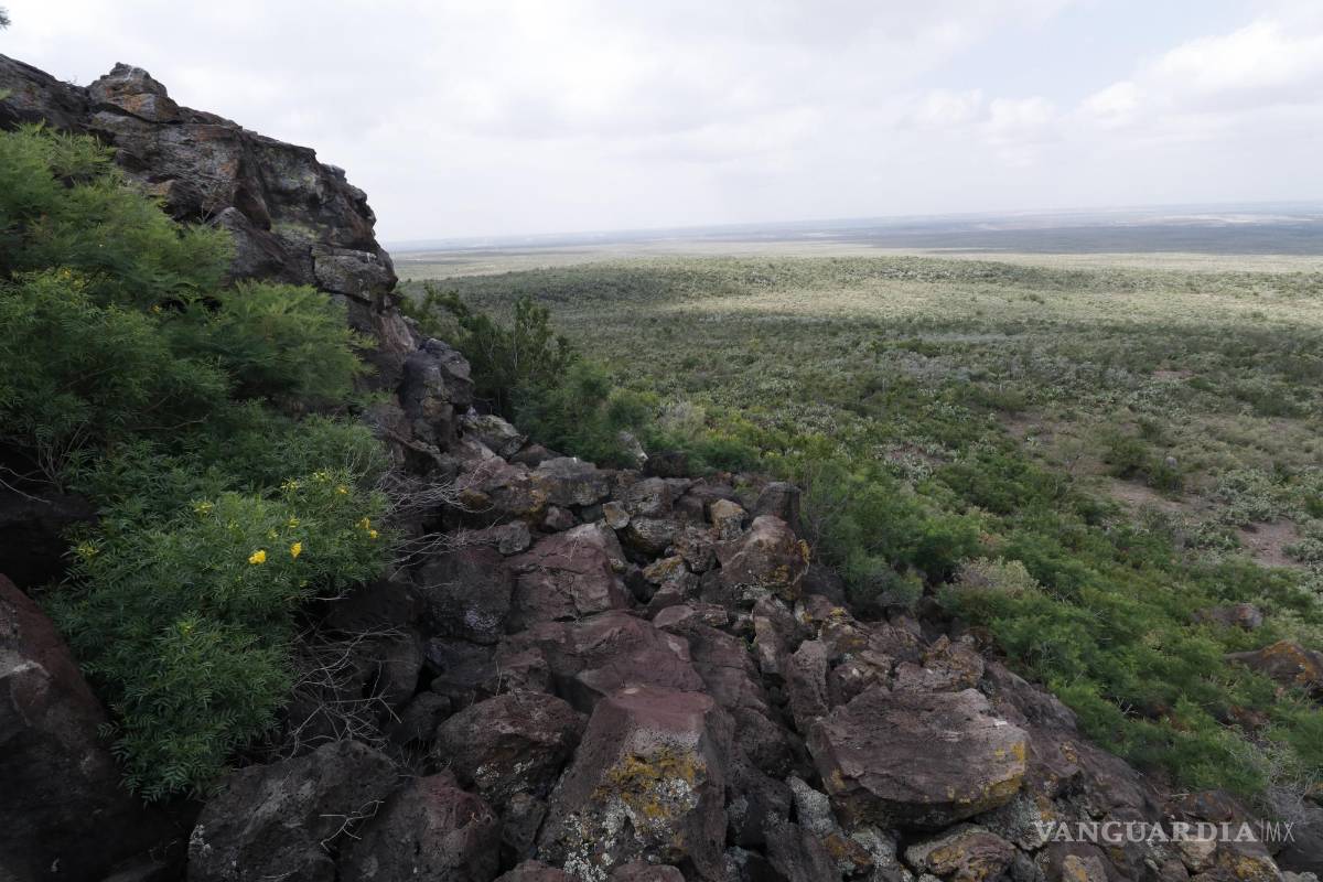 $!La zona del volcán cuenta con llanura de mezquites, espinas de nopal y otros arbustos espinosos que se multiplican en cordilleras.