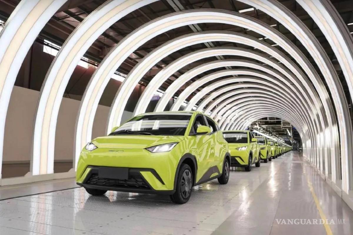 Sin definir aún BYD dónde instalará nueva planta de producción en México