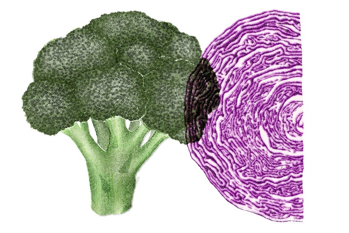 $!Muchos estudios sobre nutrición dependen de que las personas recuerden con exactitud lo que consumieron hasta hace un año.