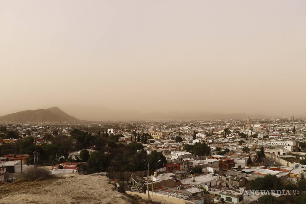 Suman 566 árboles derribados en Saltillo por el viento en 2019 y lo que va de 2020