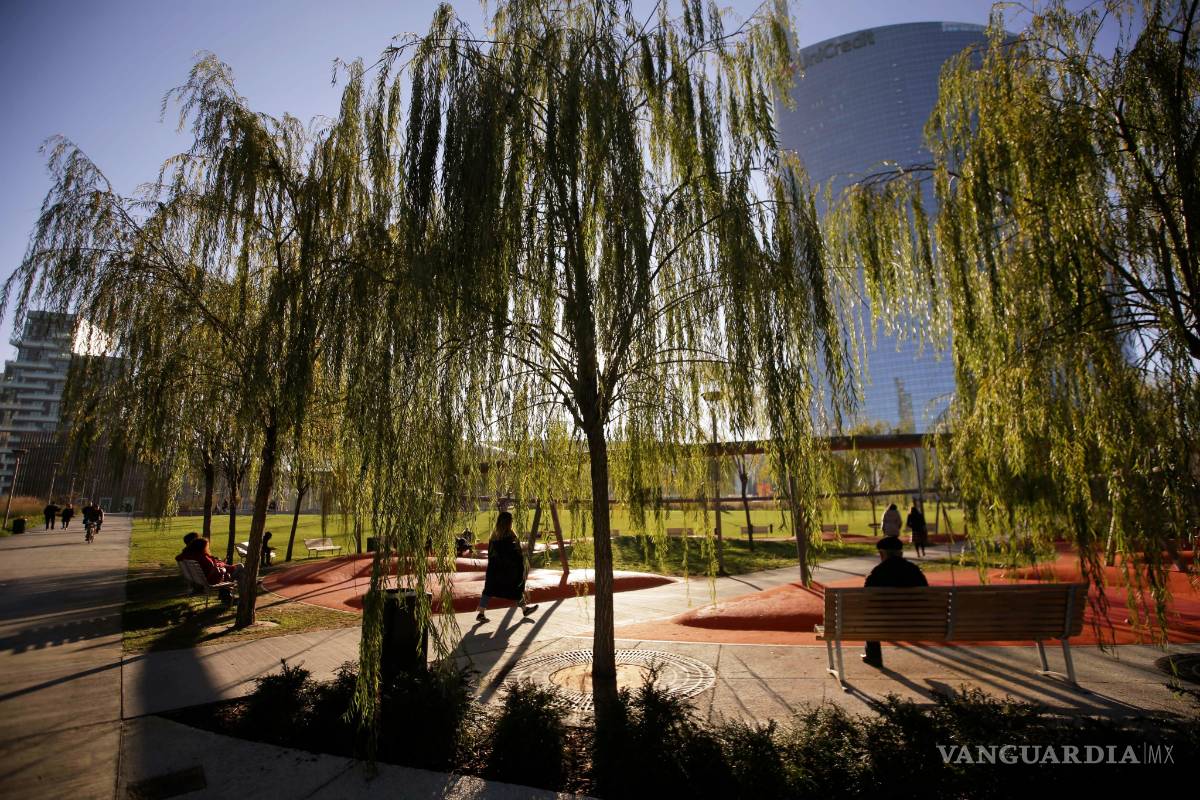 Para ganarle la batalla al calentamiento global hay que plantar un billón de árboles, según un estudio