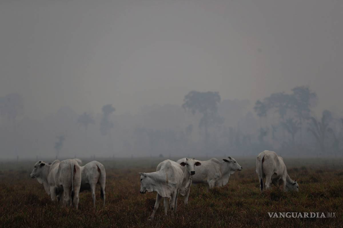 $!Bomberos brasileños combaten el fuego en una Amazonia cubierta de humo