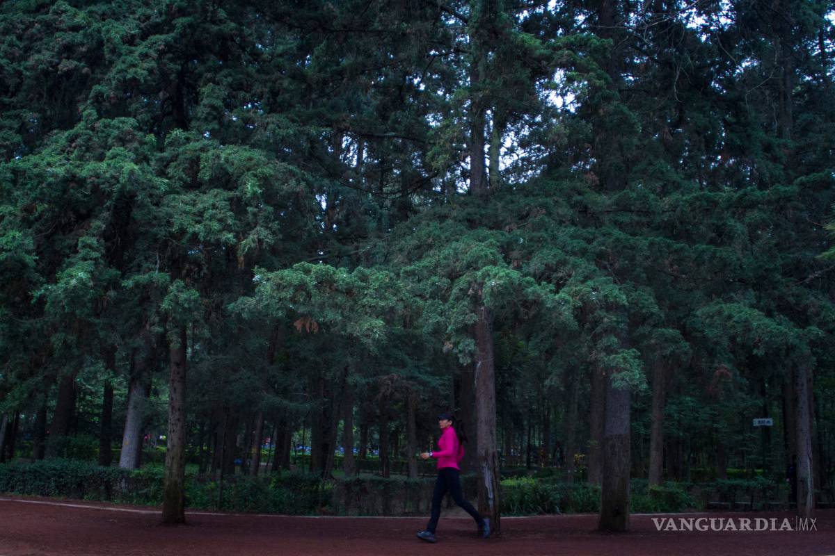 Cerrarán jueves y viernes Bosque de Tlalpan por mal clima