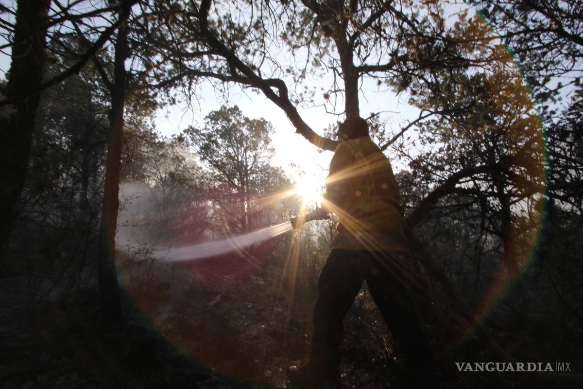 Reanudan operaciones de combate del incendio en Arteaga