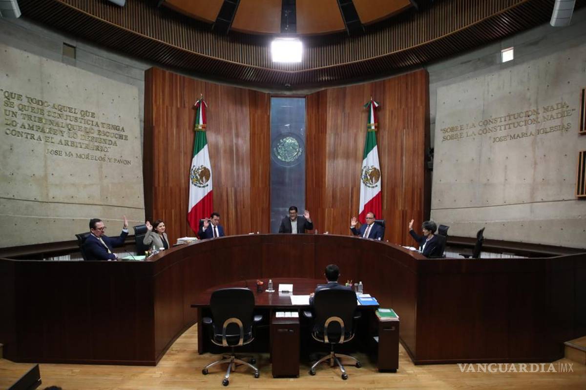 Partidos deben volver remanentes de financiamiento, no pueden usarse para campañas: TEPJF