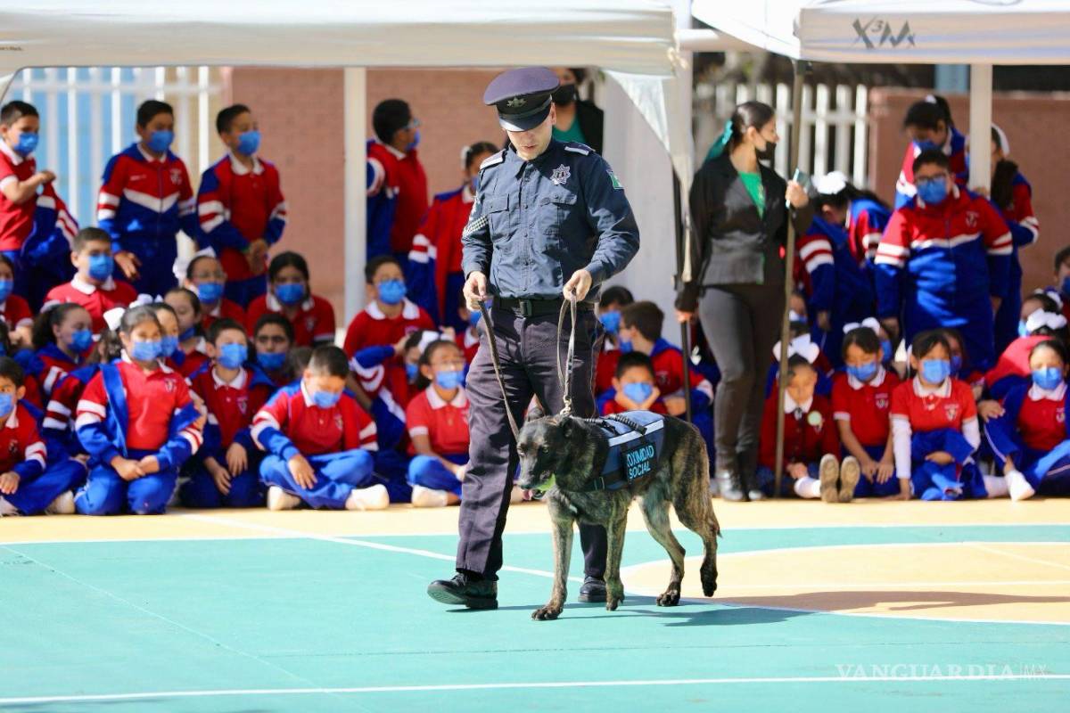 $!La Dirección de Proximidad Social y Prevención del Delito realiza recorridos permanentes en colonias estratégicas.
