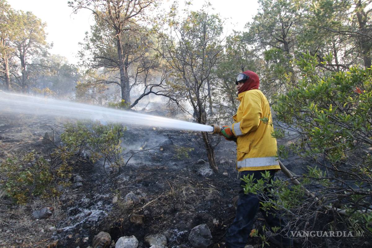 $!¡Ahora fue un corto! Fuego afecta 600 hectáreas en Arteaga