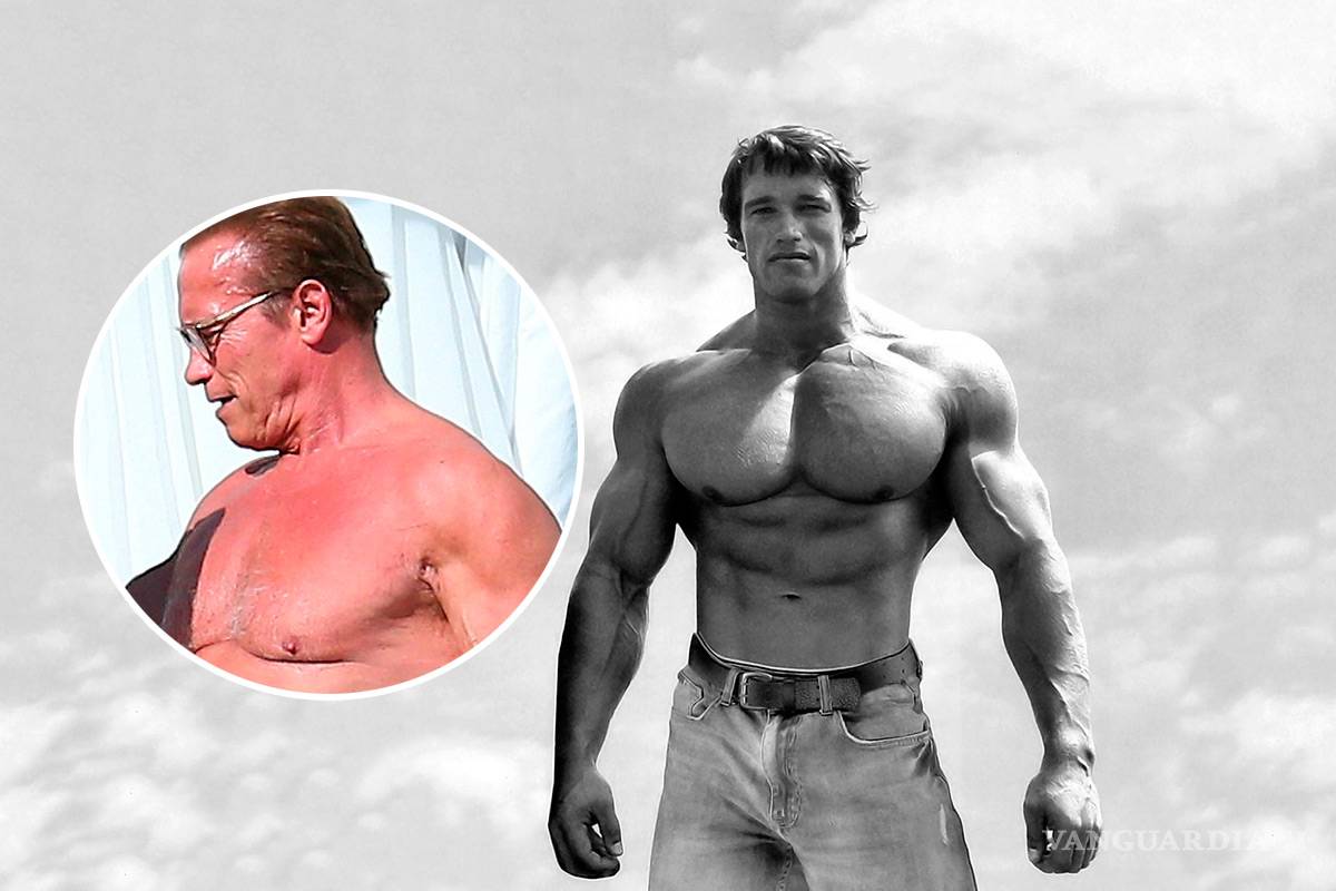 &quot;Cuando me miro en el espejo, vomito&quot;: Arnold Schwarzenegger sobre su cuerpo