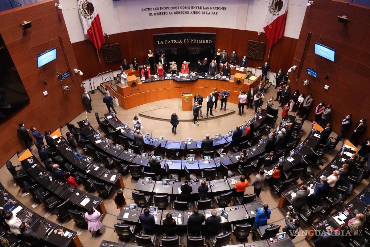 Senado recibe terna de AMLO para vacante en la CNH