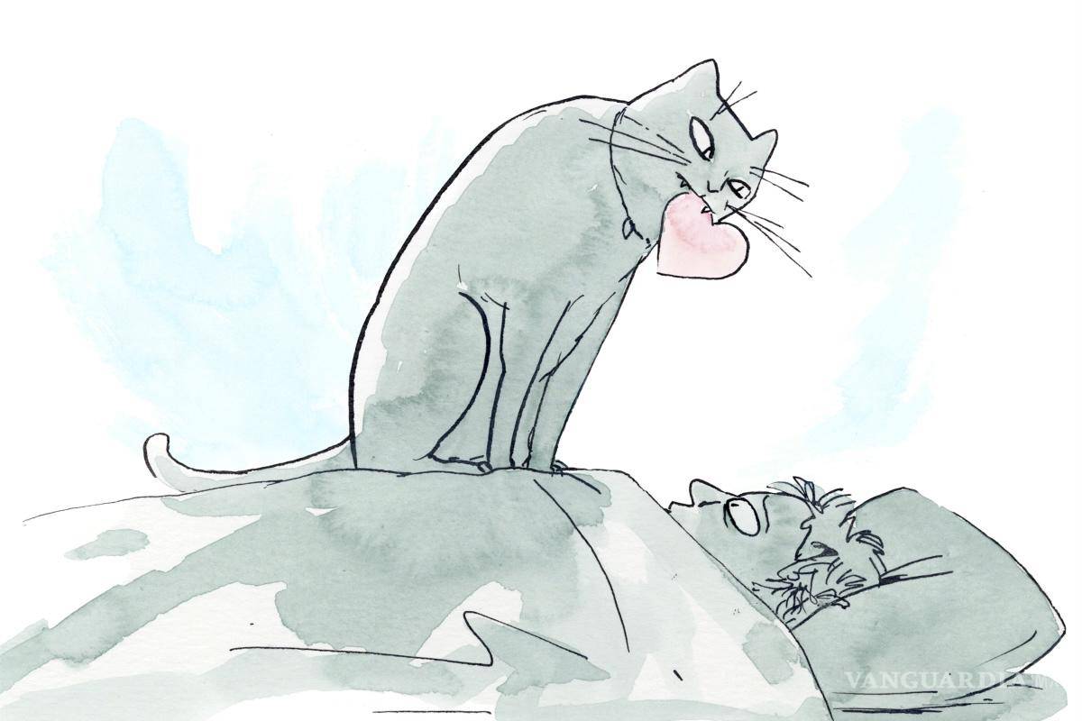 Una científica especialista en felinos explica por qué en realidad podrías caerle bien a tu gato