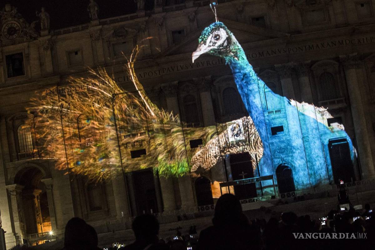 $!El Vaticano se tiñe de luz y color por el medio ambiente