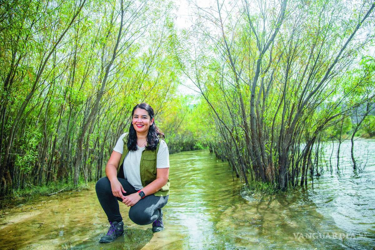 Violetta Farías: A limpiar por México