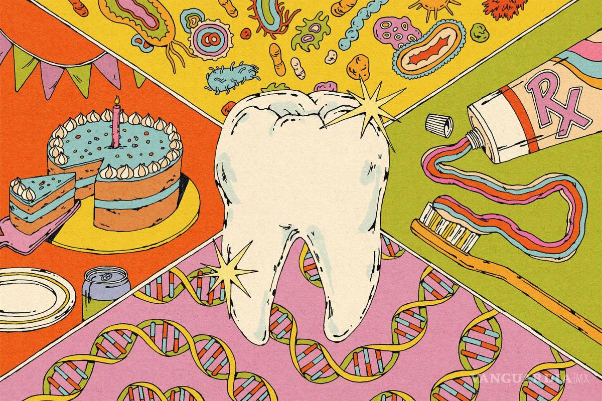 Cómo mantener los dientes fuertes
