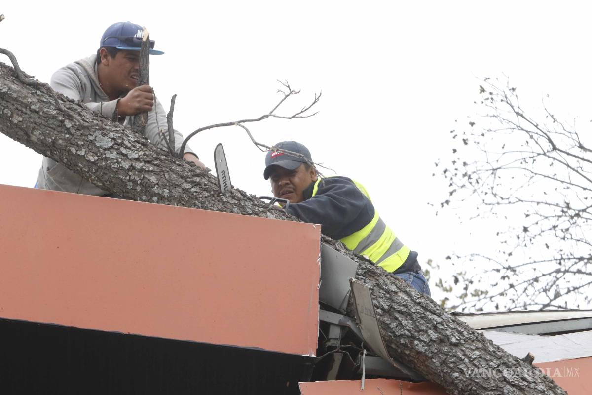$!Árbol cae sobre restaurante en plaza comercial de Saltillo
