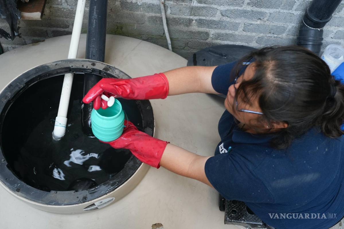 Así ayuda un grupo de mujeres en CDMX a captar agua de lluvia para a compensar por la sequía