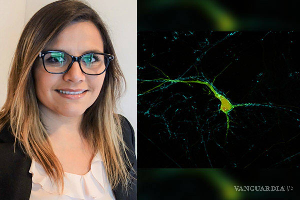 Busca química mexicana del MIT alternativas para tratar Parkinson