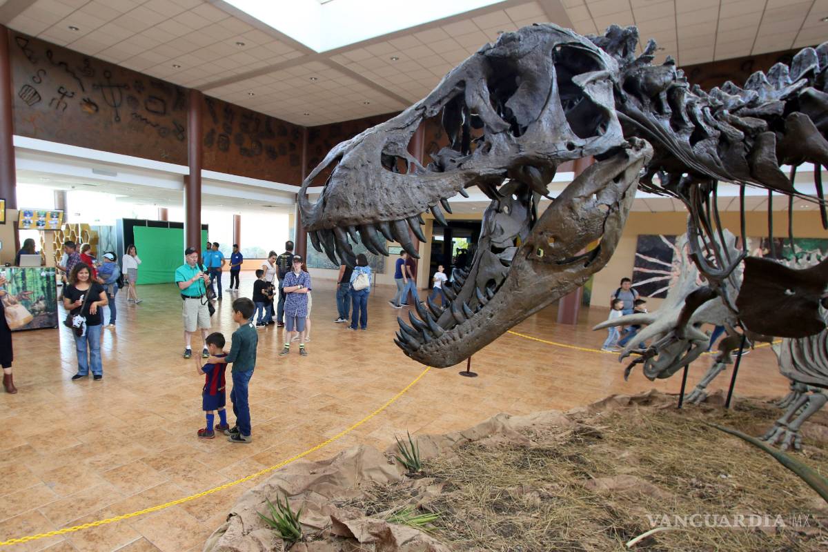 Coahuila, quinto con más museos en el país