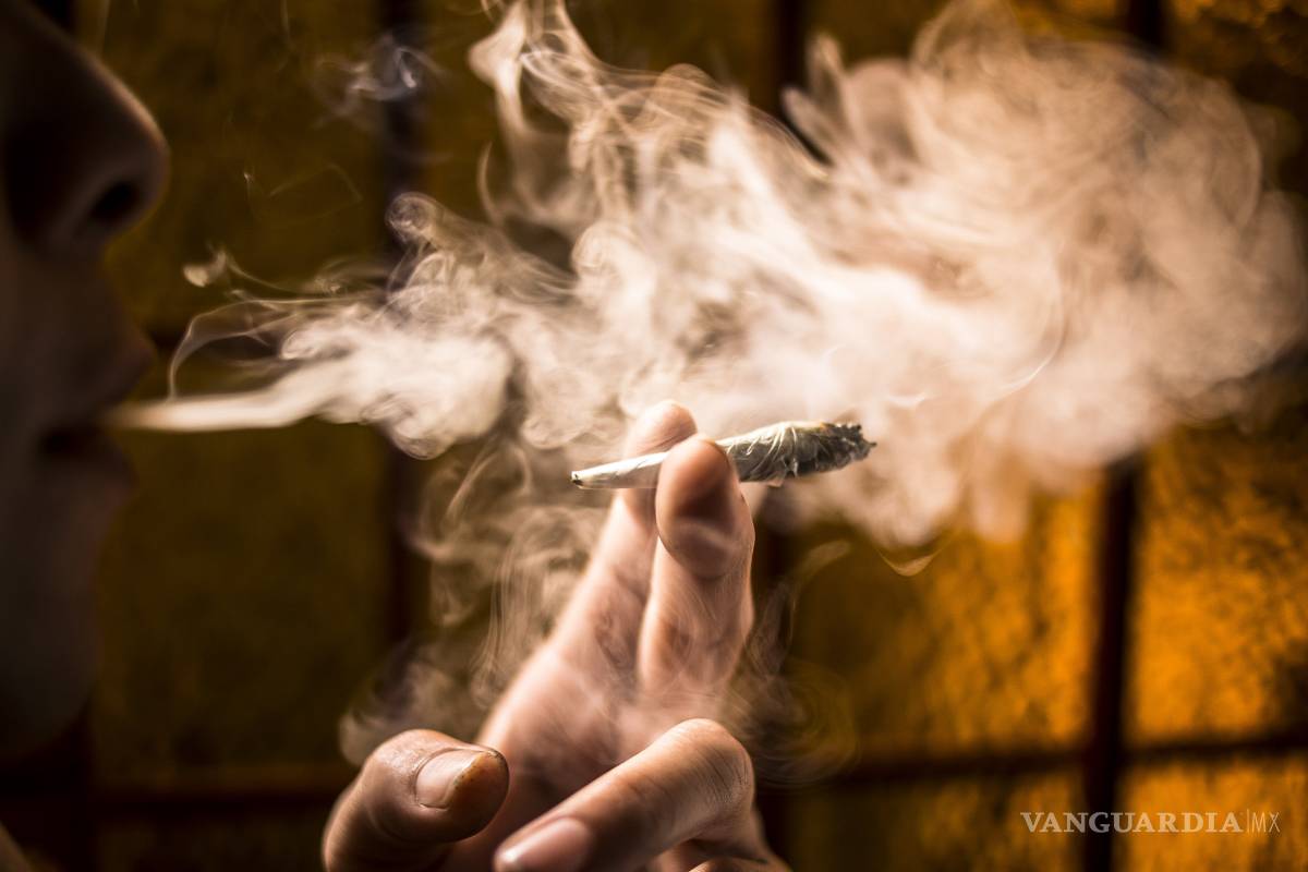 Mariguana no se legaliza, aclara gobierno federal