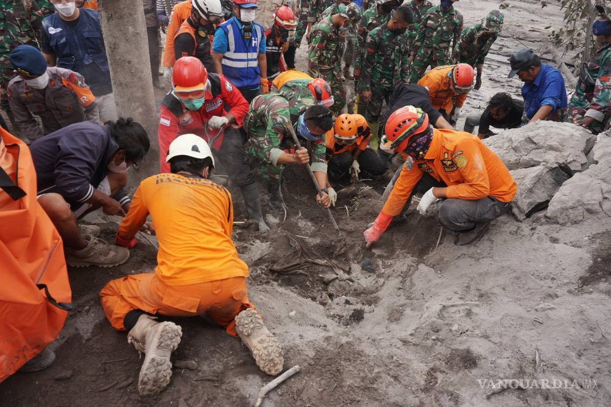 $!Equipos de rescate excavan en busca del cuerpo de una víctima enterrada por la ceniza volcánica en un área afectada por la erupción del monte Semeru . EFE/EPA/AMMAR