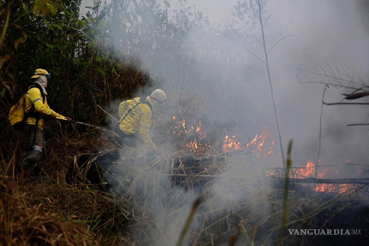 Bomberos brasileños combaten el fuego en una Amazonia cubierta de humo