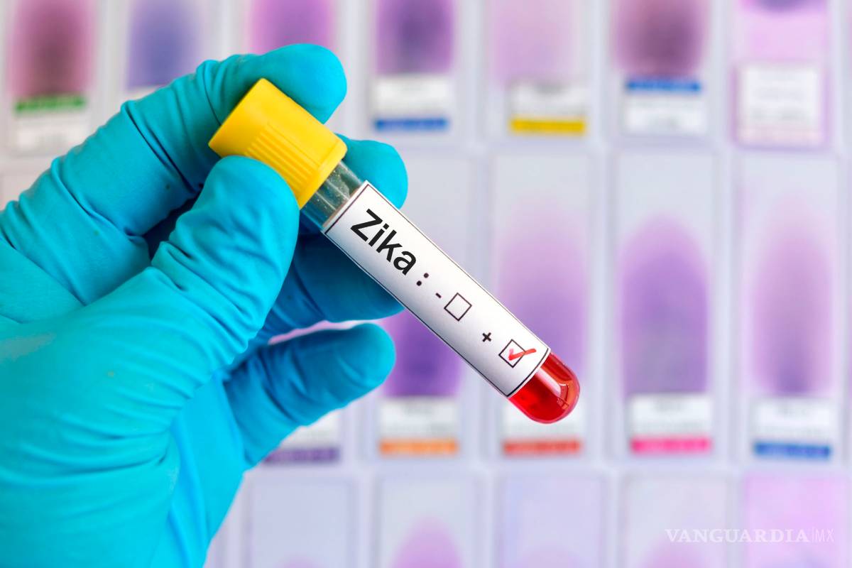 Alerta OMS por arribo y expansión del Zika en 51 países de Europa