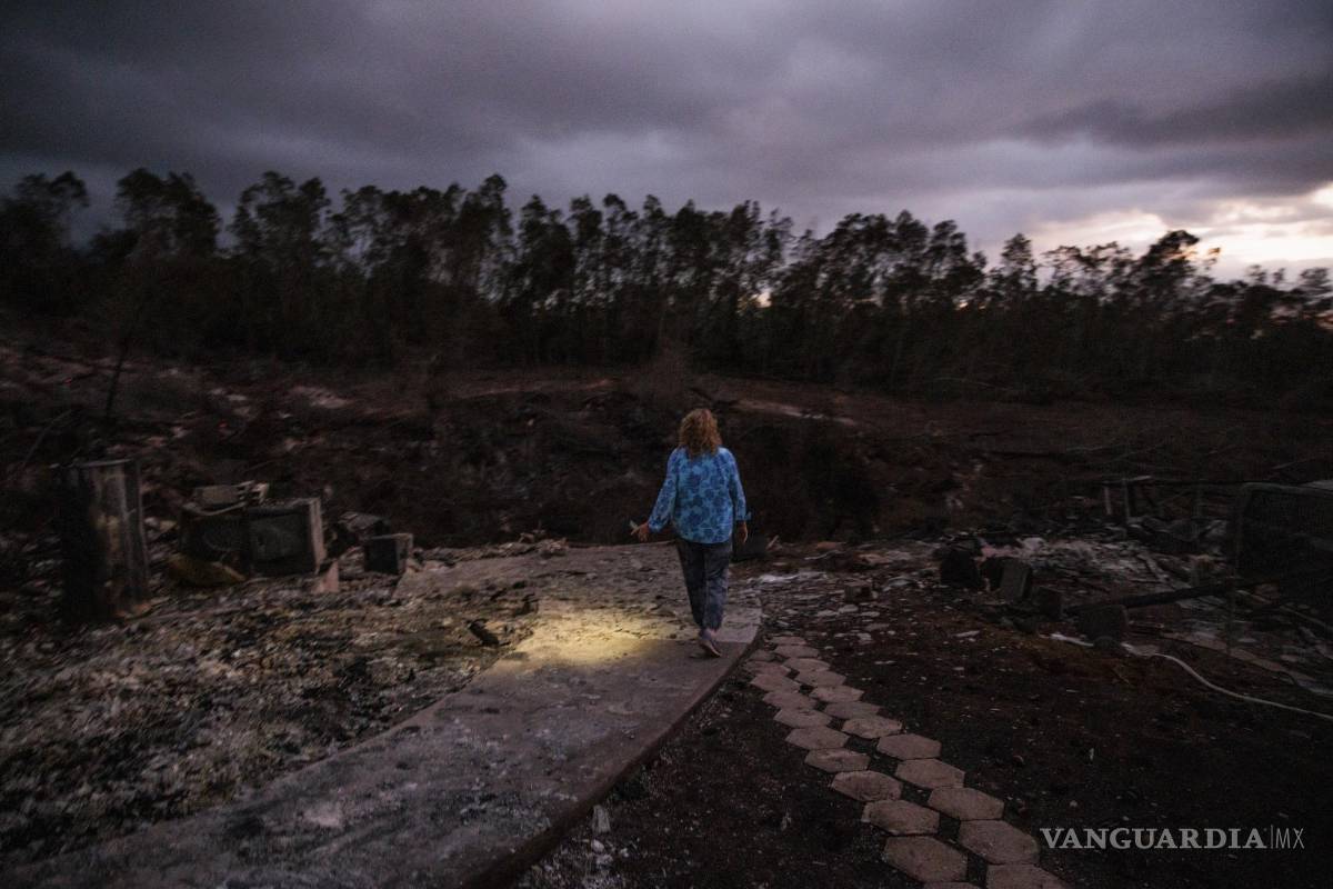 $!Barbara Wiener usa una linterna para buscar al gato de un amigo en Kula, Hawái.