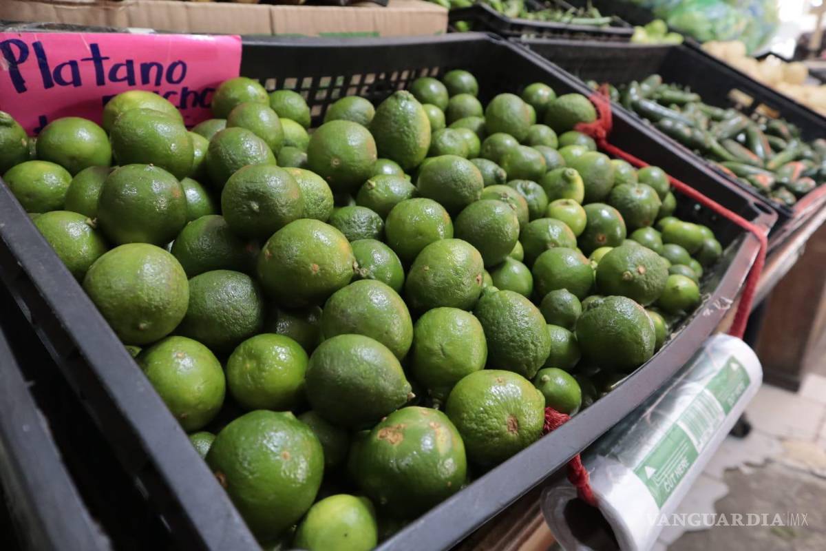 Saltillo: también es un lujo comprar limón; precio subió hasta 70 pesos en algunos mercados