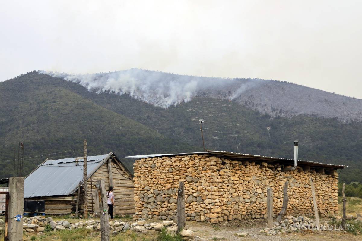 Por causas humanas casi la mitad de incendios forestales en Coahuila