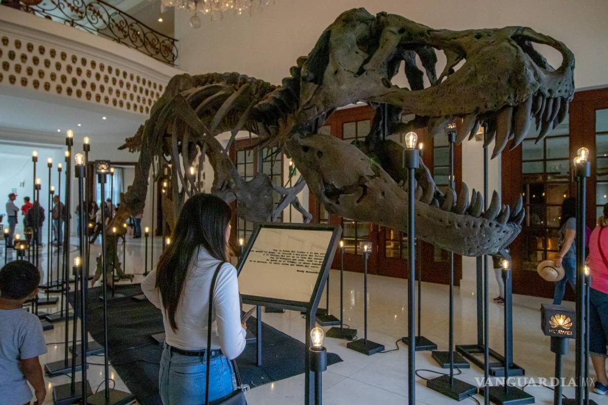 $!Ocho dimensiones llenas de esqueletos, paleosculturas y réplicas de fósiles se preparan para sorprender al público del Museo Bebeleche en diciembre.