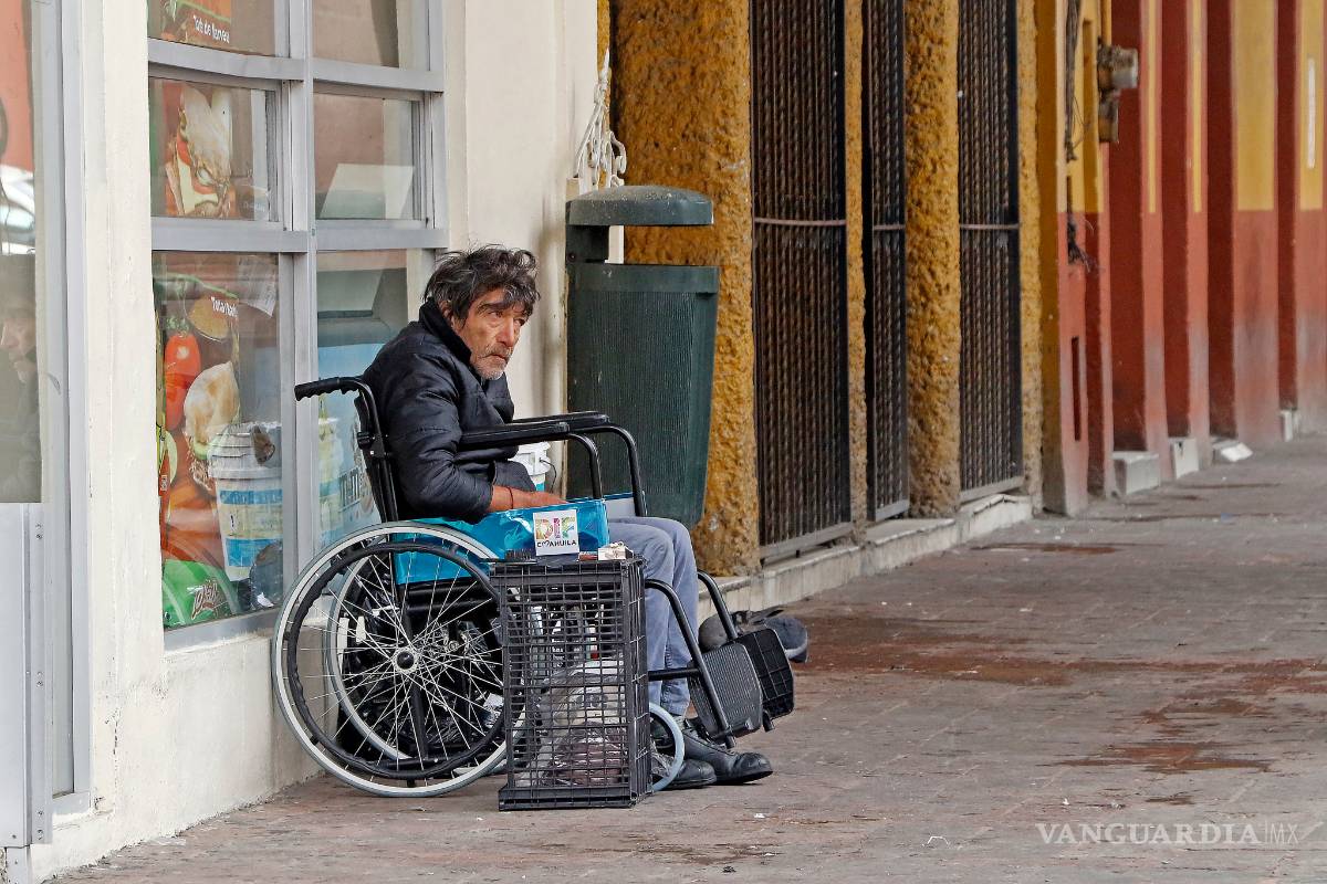 $!¿Son invisibles? (Fotogalería)