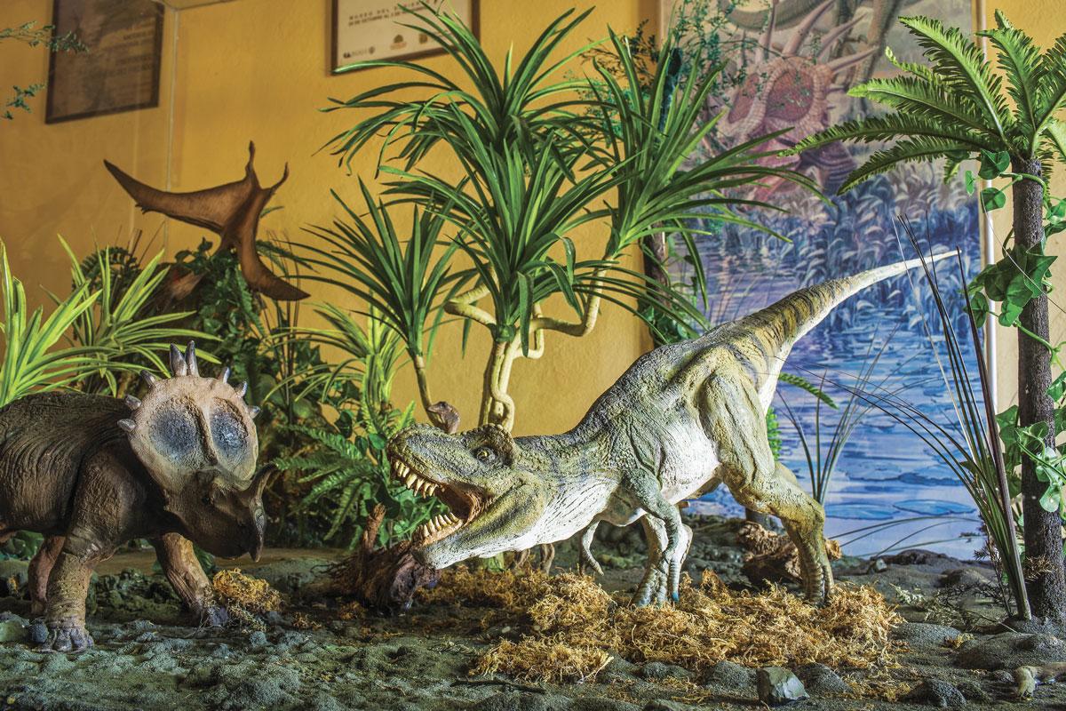 $!Su museo cuenta con fósiles de la vida marina y terrestre que vivió en Coahuila.