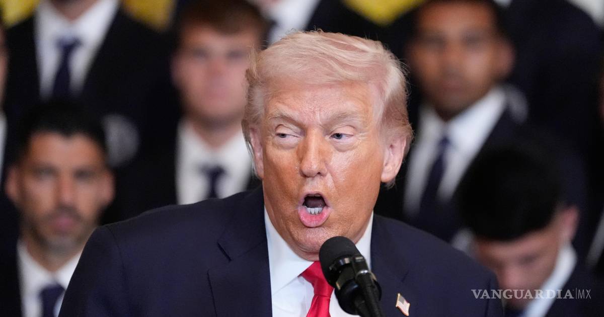 No hay pendejo que no sea terco