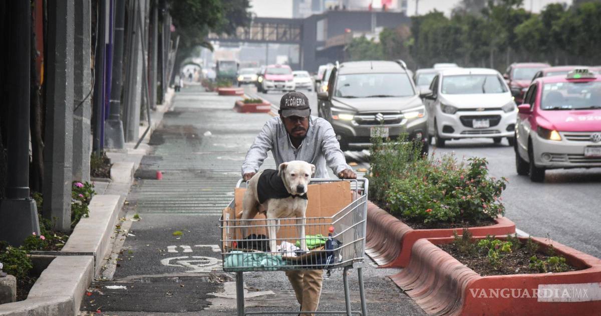La cigarra y el hambre