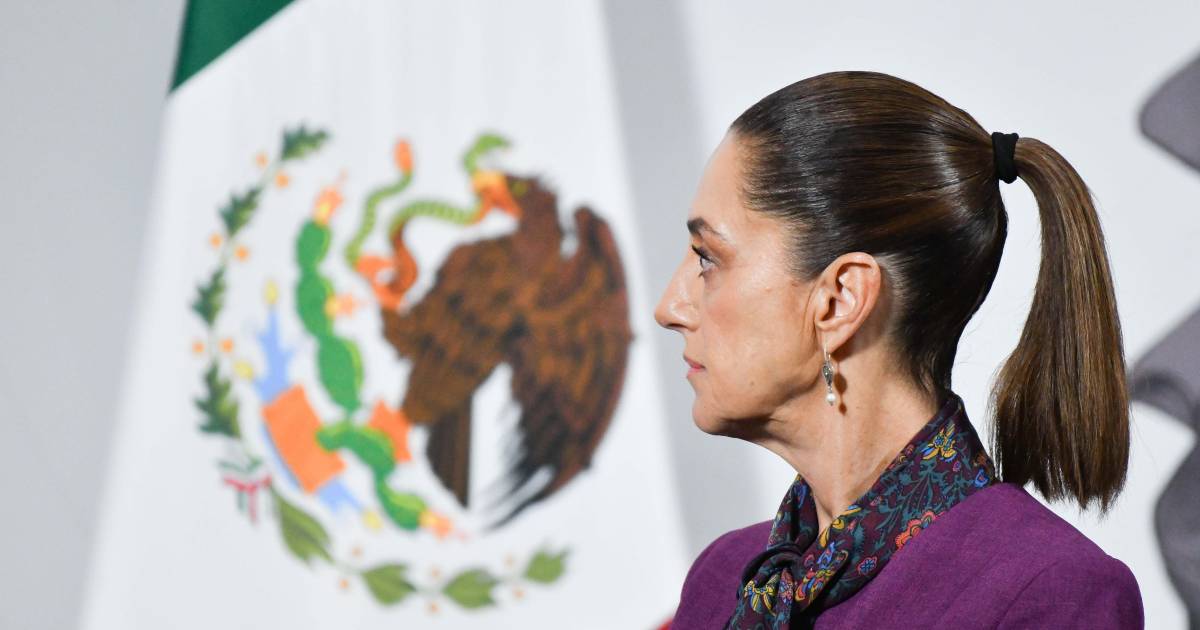 Sheinbaum niega tenerle miedo a los cárteles tras declaraciones de Trump: ‘No voy a entrar en el debate’