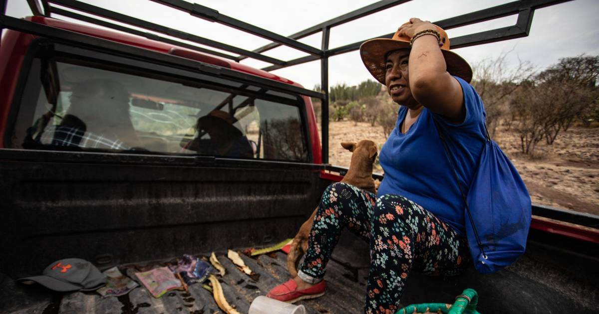 No tiene seguridad social 86% de trabajadoras agrícolas en México