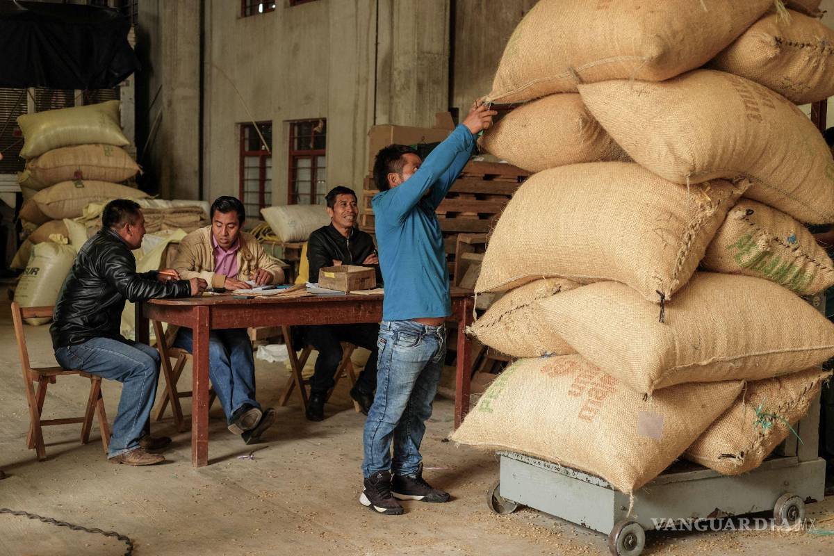 Aranceles amenazan al café latinoamericano; impacta con precios récord del grano en EU