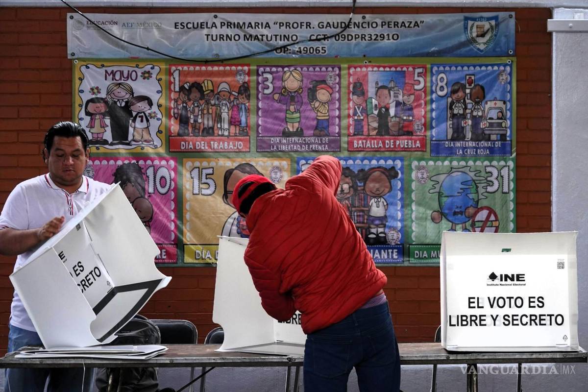 Los observadores electorales: ¿funcionan?, ¿funcionaron?