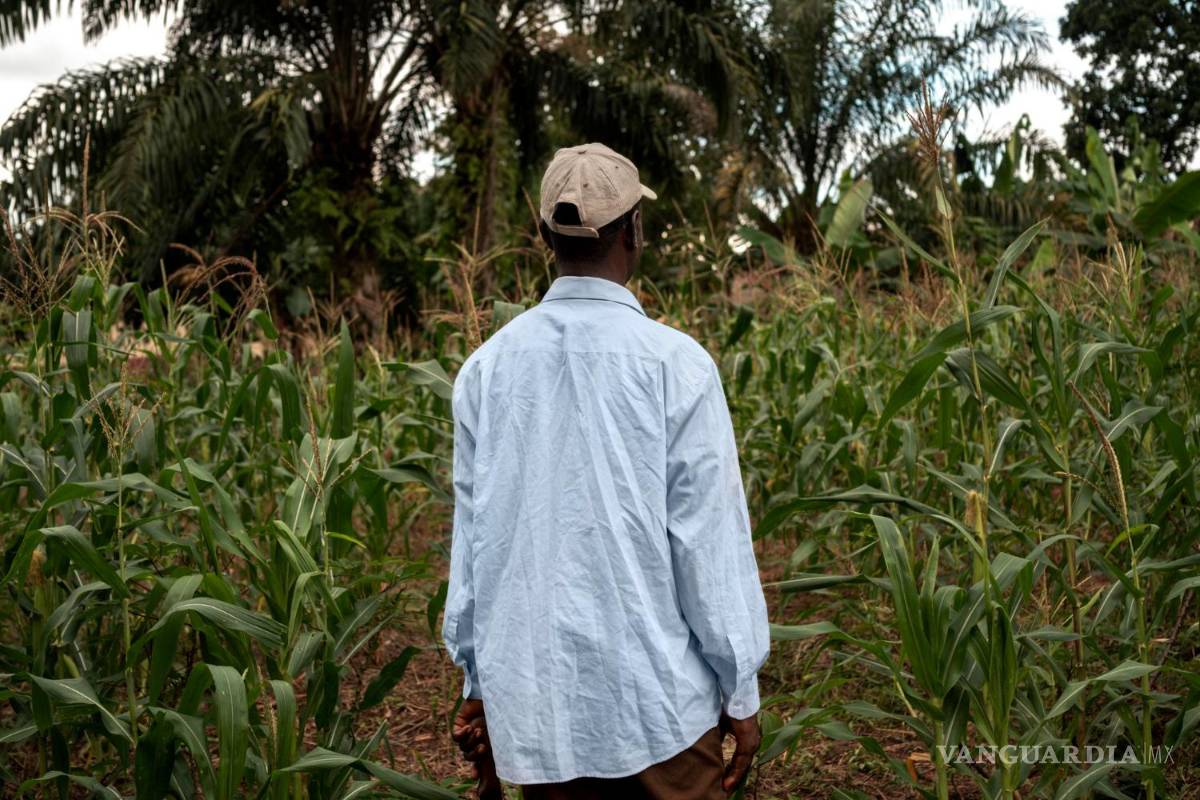 Don Valente, un hombre lleno de saberes comunitarios