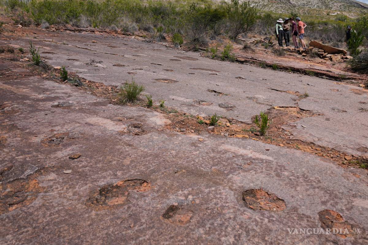 $!Turistas observan huellas petrificadas de dinosaurios en Carreras Pampa, en el Parque Nacional Toro Toro, al norte de Potosí, Bolivia.