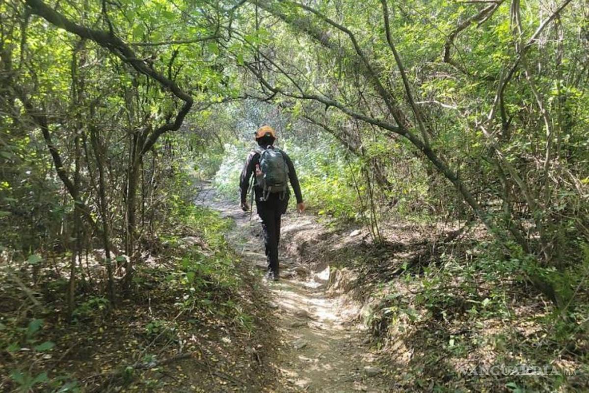 Oso persigue a jóvenes en cerro de Monterrey; piden auxilio a autoridades