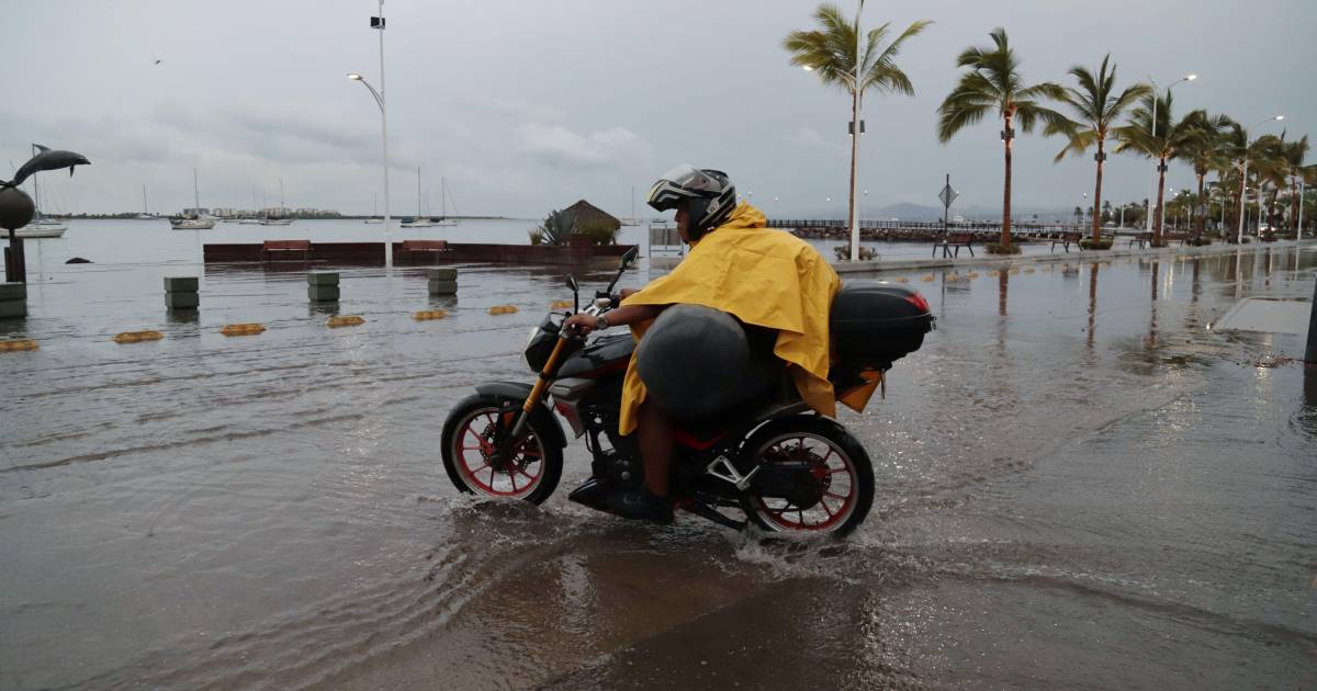 Enfrentan riesgos por cambio climático 6 de cada 10 empresas en México