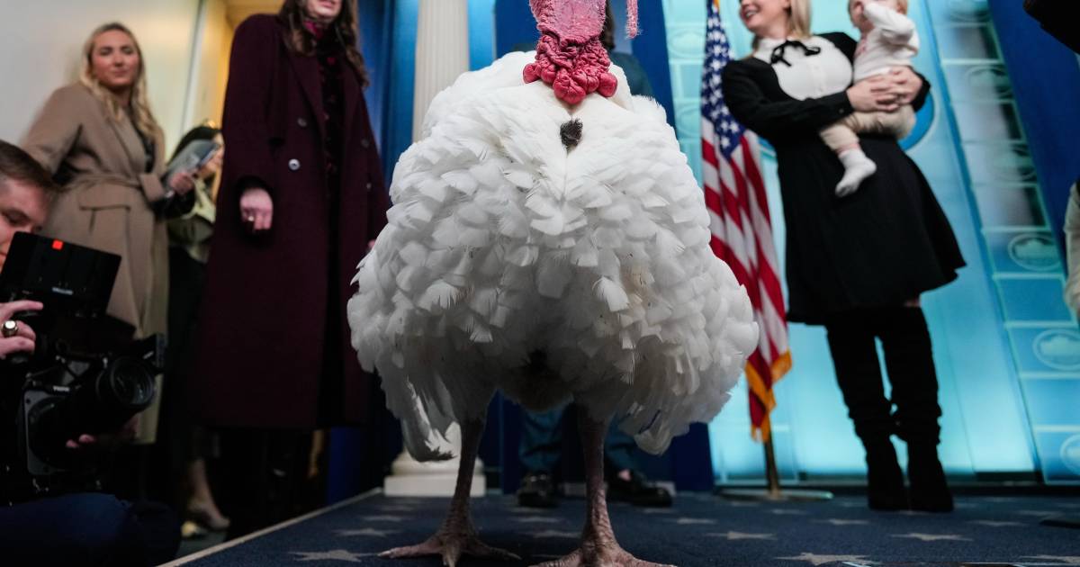 La agonía de un gran sueño