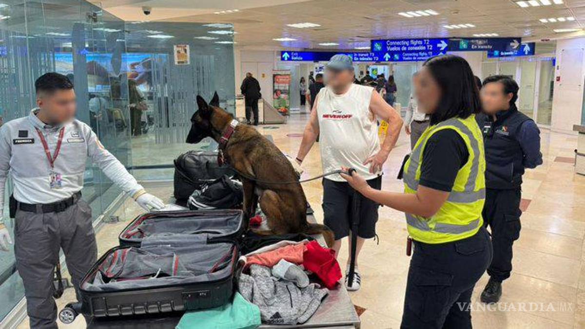 Decomisan casi 10 kilos de cocaína en el Aeropuerto de Cancún