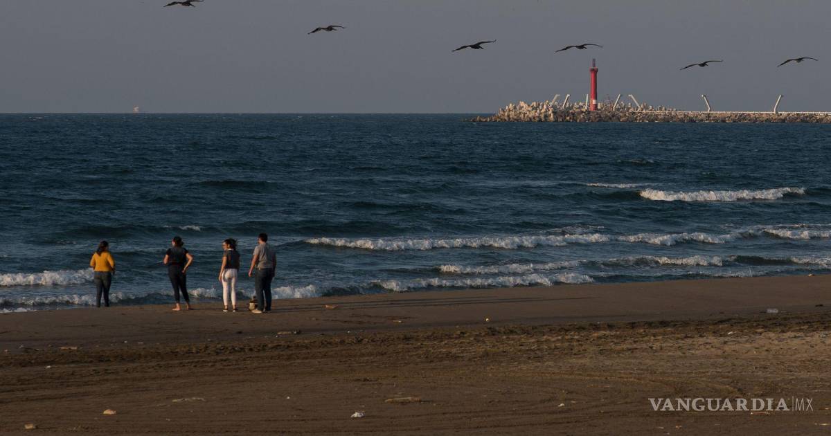 ¿Hay un derrame de hidrocarburos en Veracruz? Pemex no ha encontrado la fuga