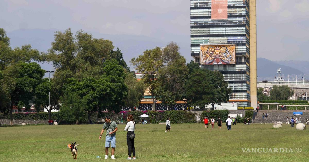 Venden esquema de suplantación de identidad para los exámenes de ingreso para la UNAM y al IPN