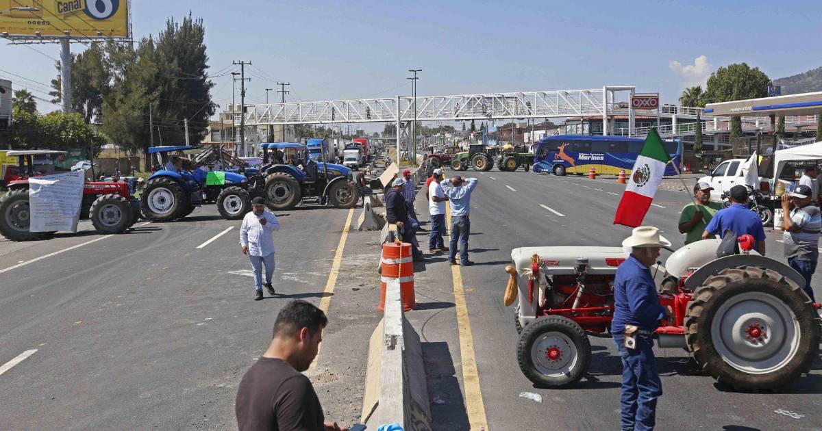 Productores de maíz en Jalisco levantan bloqueos tras acuerdo parcial con el gobierno federal